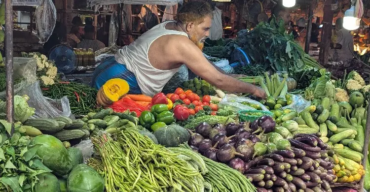 āĻā§āĻŦāĻžāϞāĻžāύāĻŋ āϤā§āϞā§āϰ āĻĻāĻžāĻŽāĻŦā§āĻĻā§āϧāĻŋāϤ⧠āĻŦā§ā§ā§āĻā§ āϏāĻŦāĻāĻŋāϰ āĻĻāĻžāĻŽ āĻā§āĻŦāĻžāϞāĻžāύāĻŋ āϤā§āϞā§āϰ āĻĻāĻžāĻŽāĻŦā§āĻĻā§āϧāĻŋāϤ⧠āĻŦā§ā§ā§āĻā§ āϏāĻŦāĻāĻŋāϰ āĻĻāĻžāĻŽ
